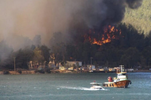 Организация «Дети огня» взяла на себя ответственность за пожары в Турции