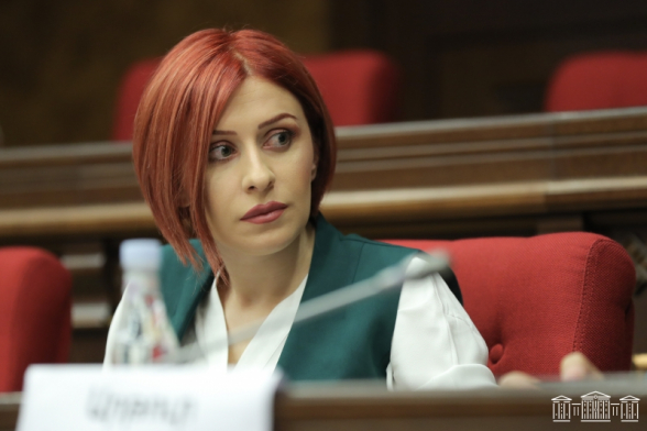 Թուրքիայում ուսանածն արդյոք օգտագործվե՞լ է թավշյա հեղափոխության ժամանակ. Ագնեսա Խամոյանը՝ Ռուբեն Ռուբինյանին (տեսանյութ)