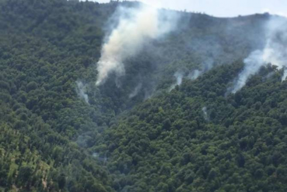 Ադրբեջանում վառվում են հարավային շրջանների անտառները (տեսանյութ)