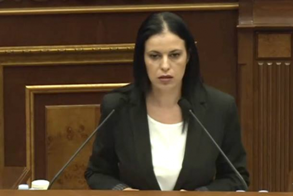 Քաղաքացուն հռչակեցին հպարտ ու նվաստացրեցին թշնամու առաջ. Արեգնազ Մանուկյան (տեսանյութ)