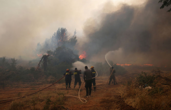 В Греции за десять дней сгорело более 56 тыс. гектаров