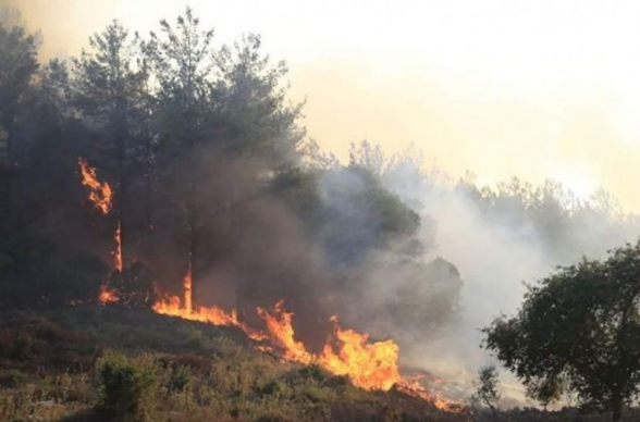 Ադրբեջանում կրկին անտառային հրդեհ է բռնկվել. կրակի մարման աշխատանքներին ուղղաթիռ է ներգրավվել (տեսանյութ)
