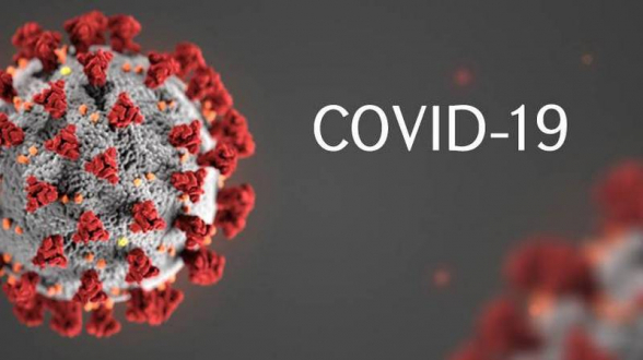 В Грузии за сутки выявлено 1653 новых случая коронавируса