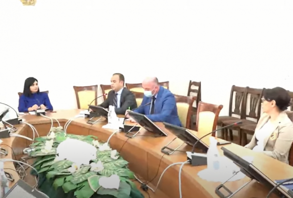 Սփյուռքի հանձնակատարն ու Արցախի նախագահի խորհրդականն ԱԺ-ում են (տեսանյութ)