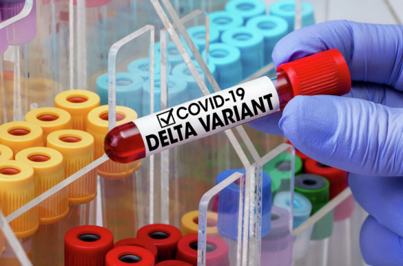 39 մահ` մեկ օրում․ կորոնավիրուսով վարակվելու 1962 նոր դեպք է արձանագրվել Հայաստանում