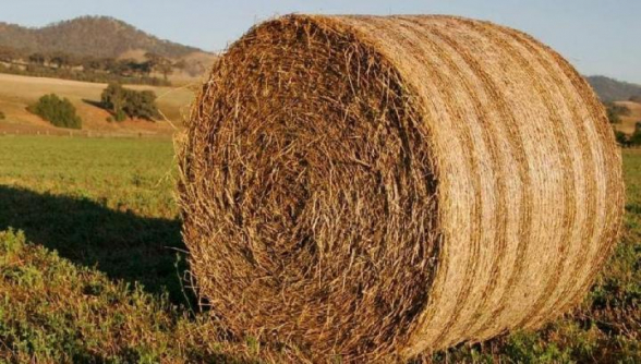 Фермеры оказались в крайне тяжелом положении, вскоре подорожает также мясо – «Жоховурд»