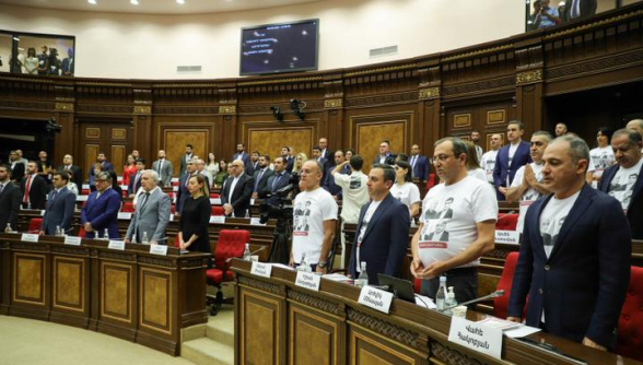 Оппозиция созывает внеочередное заседание парламента (видео)