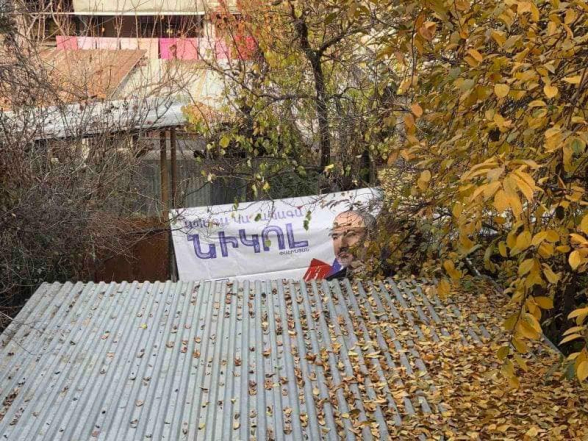 Նիկոլի «ԱՊԱԳԱ»-ն շան բնի վրա