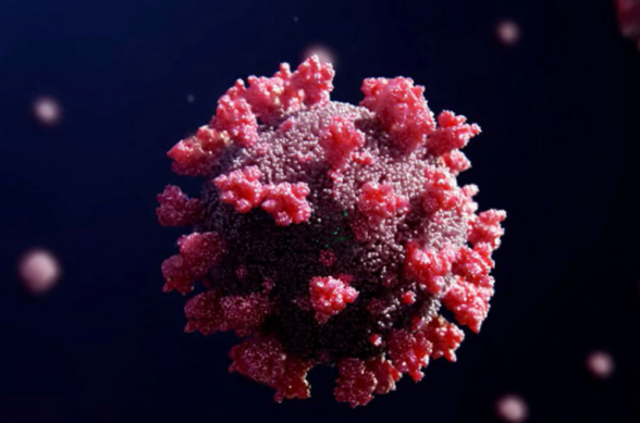 Переболевшие COVID-19 могут заразиться штаммом «омикрон» – ВОЗ