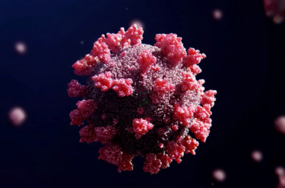Ученые насчитали свыше 265,8 млн заразившихся COVID-19 в мире