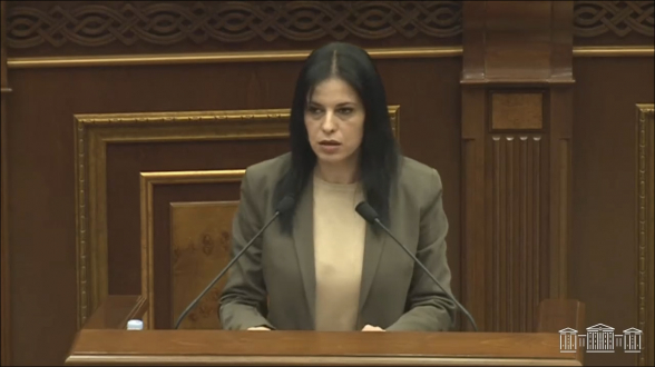 Боровшиеся с «падаватократией» именно в нее страну и превратили – Арегназ Манукян (видео)