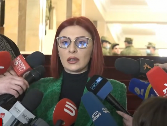 Брифинг депутата НС от фракции «Армения» Агнессы Хамоян (видео)