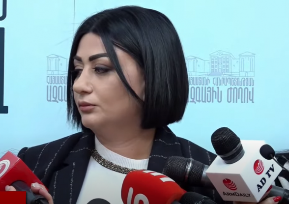 Брифинг депутата от фракции «Армения» Рипсиме Стамбулян (видео)
