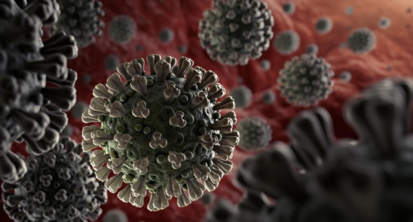 Վրաստանում կորոնավիրուսի 23 664 նոր դեպք կա