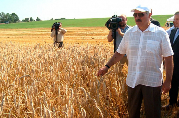 Лукашенко считает, что на фоне событий на Украине зерно стало новым золотом или нефтью