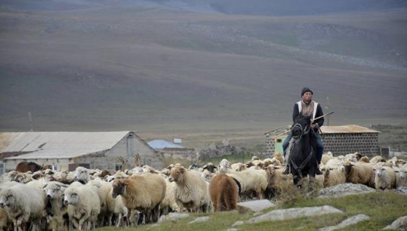 Հովիվն է առաջինը տեսել ադրբեջանցիների վրանները․ Ներքին Հանդի համայնքապետ․ «Հրապարակ»