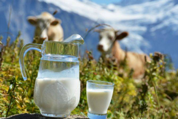 Объемы импорта сухого молока сократятся: подорожают ли молочные продукты? – «Жоховурд»