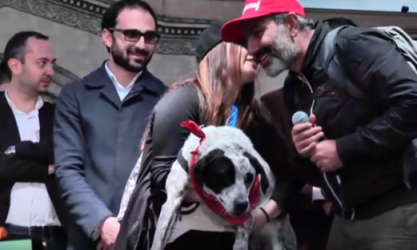 Процент Никола