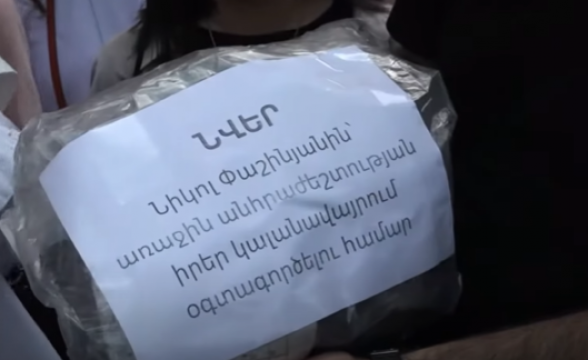 Полицейские подвергли приводу студентов, проводивших акцию протеста у здания Правительства РА