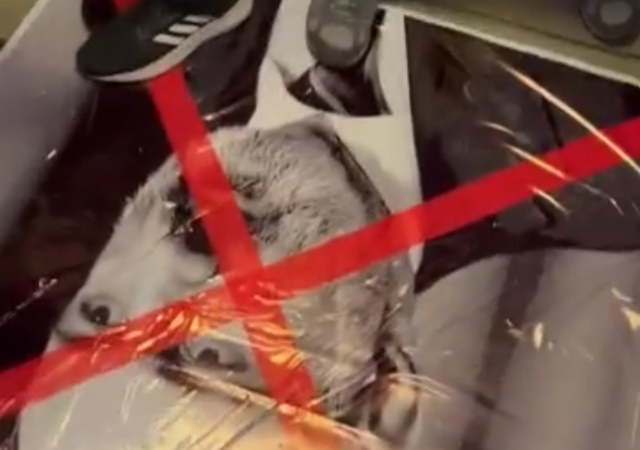 Նիկոլով Հայաստանը և մեր երազանքներն անհամատեղելի են (տեսանյութ)