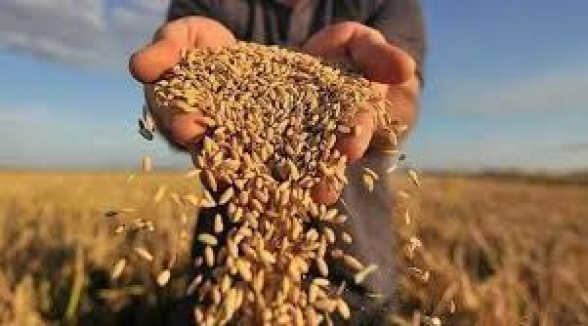CNN сообщила об участии США в переговорах об экспорте украинской пшеницы