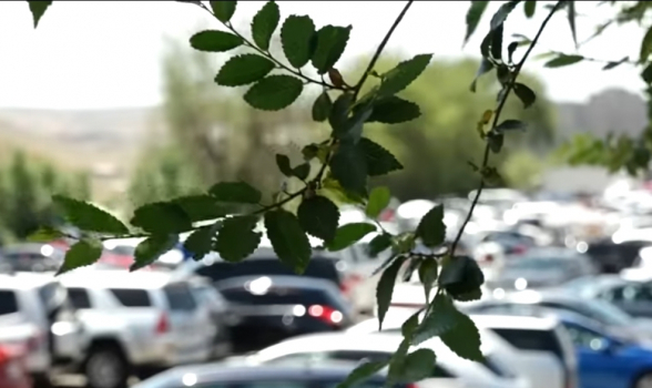 Ավտոմեքենաների գինը կարող է բարձրանալ. անկանխիկ առքուվաճառքը հարվածելու է ավտոներկրողների գրպանին (տեսանյութ)