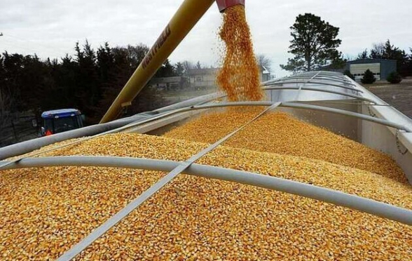 Франция и Турция поспорили по поводу вывоза зерна с Украины