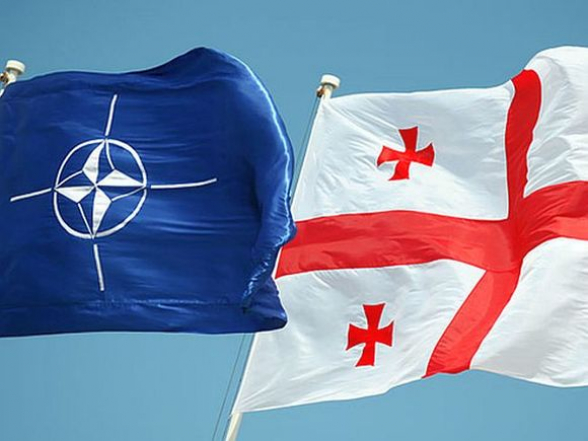 Власти Грузии назвали условие вступления в НАТО