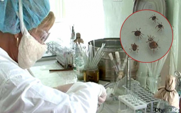 В России обнаружен новый штамм конго-крымской геморрагической лихорадки