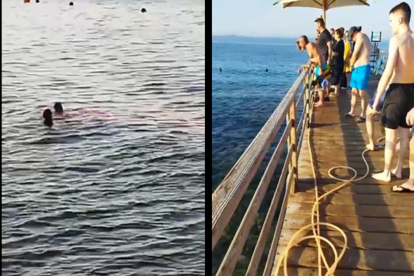 В Хургаде акула откусила туристке руку и ногу: женщина скончалась (видео)