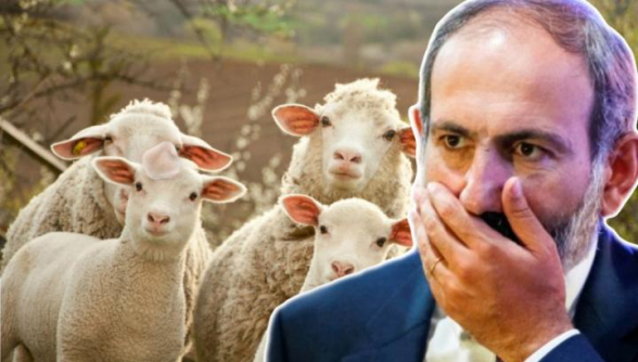 Մինչ դատարկվում է Բերձորն ու Աղավնոն՝ Նիկոլը վեց գառով քեֆ է արել Եղիպատրուշում