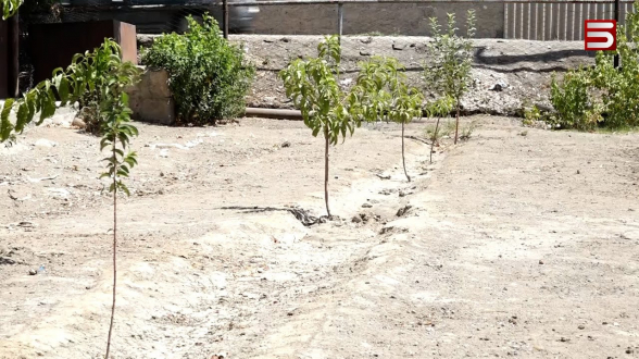 Ջուր չկա, բերք չկա. Արարատյան դաշտին անապատացում է սպառնում (տեսանյութ)