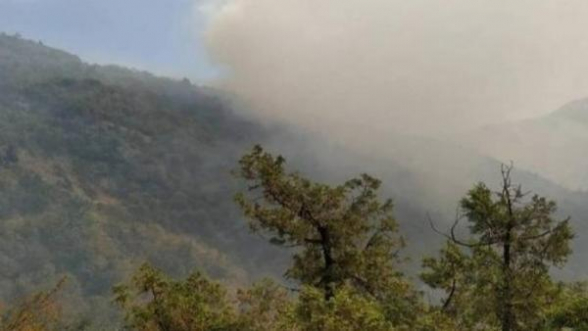 Подразделения азербайджанских ВС находятся в 4.5 км от города Джермук – глава Генштаба Армении