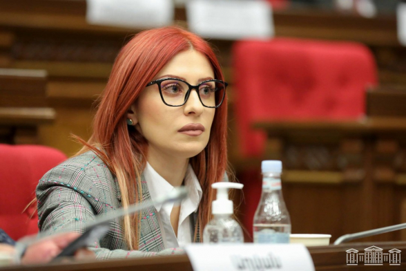 Никола пугает сценарий частичной смены власти