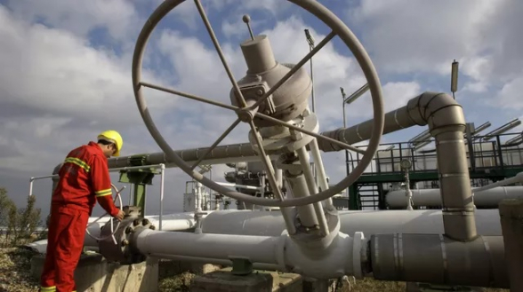 Турция попросила Россию отсрочить платежи за газ до 2024 года