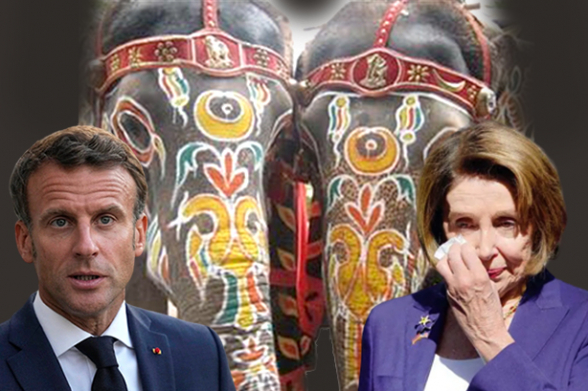 Индийские слоны, слезы Пелоси и баритон Макрона