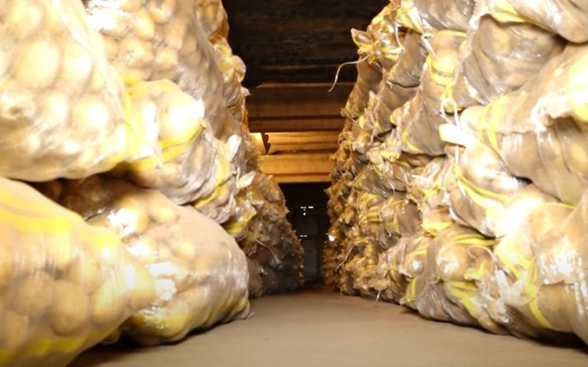 Картофель продолжит дорожать: земля в Шираке не плодоносит, а удобрения непомерно дороги (видео)