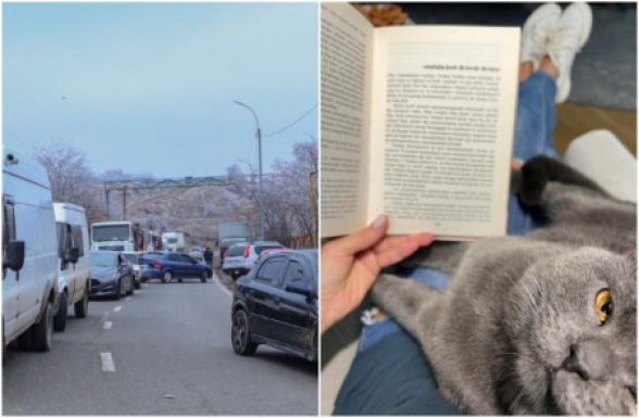 Մինչ Արցախի 120 հազար բնակիչ գտնվում է ադրբեջանական տոտալ շրջափակման մեջ, Աննա Հակոբյանը կատվի հետ գիրք է կարդում