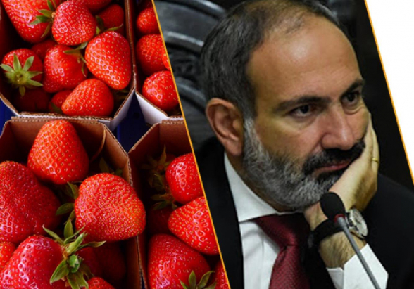 Смертоносные последствия «клубникизации» армии (видео)