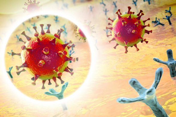 Биологи создали прорывной препарат от всех вирусов, вызывающих COVID-19 – исследование