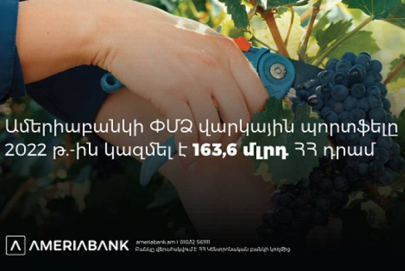 Ամերիաբանկի ՓՄՁ վարկային պորտֆելը hինգ տարում գրանցել է կրկնակի աճ (տեսանյութ)