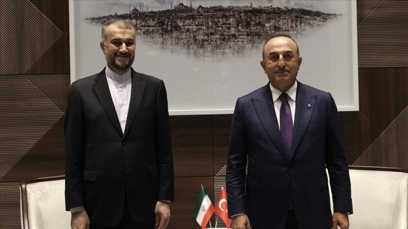 В Турции выразили заинтересованность в развитии сотрудничества с Ираном в энергетике