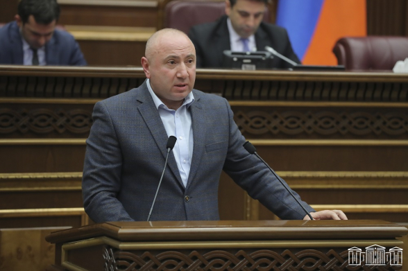 Депутат из оппозиции Армении обвинил Пашиняна в нагнетании «антироссийской истерии» – ТАСС