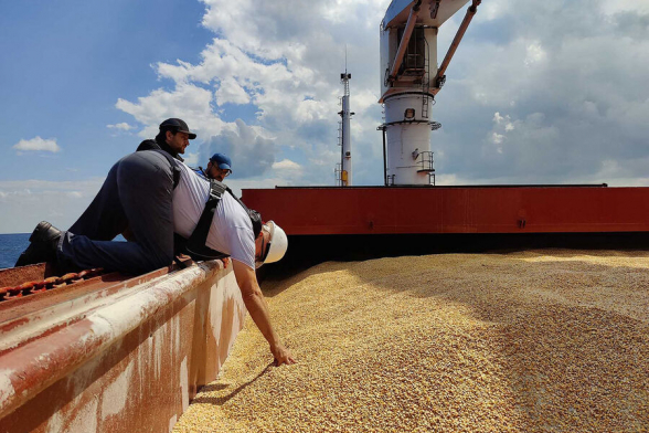 Польша разозлила ЕС решением запретить импорт зерна и других продуктов с Украины – СМИ
