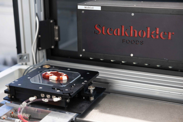 В Израиле впервые в мире мясо рыбы напечатали на 3D-принтере