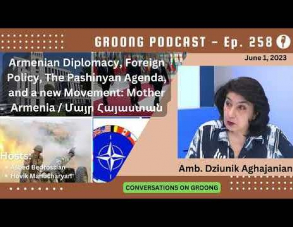 Интервью члена движения «Мать Армения» Дзюник Агаджанян изданию «Armenian News Network» (видео)
