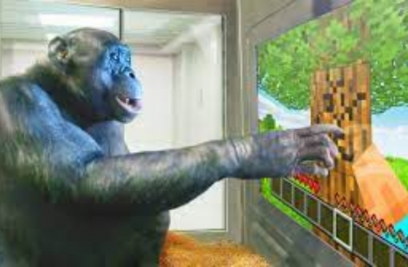 Շիմպանզեին առաջին անգամ սովորեցրել են Minecraft խաղալ