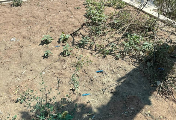 Տիգրան Ավինյանի քարոզարշավից հետո ՔՊ-ի գրասենյակում «ուրախ» է անցել․ դիմացը թմրանյութերի պարագաներ են լցված (տեսանյութ, լուսանկար)