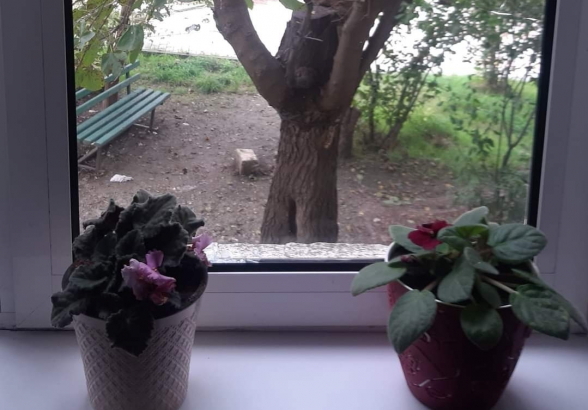 Ես գնում եմ՝ ընդամենը երկու գիրք տանելով՝ Աստվածաշունչն ու Արցախի Հանրապետության ատլասը...