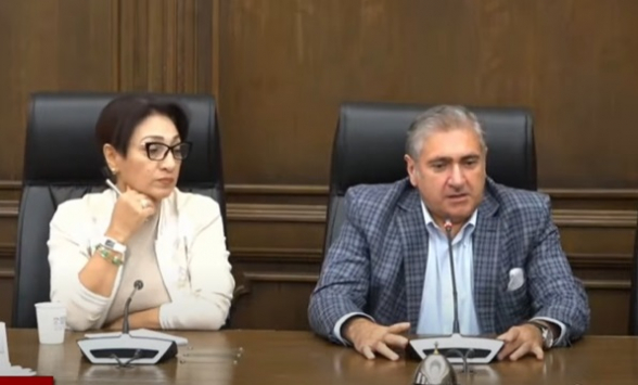 Фракция НС «Армения» подводит итоги парламентской недели (видео)